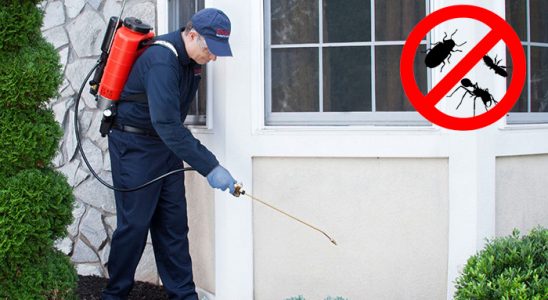 Sakarya Bit İlaçlama böcek ilaçlama ve haşere kontrolü — ilaclama-tr.com